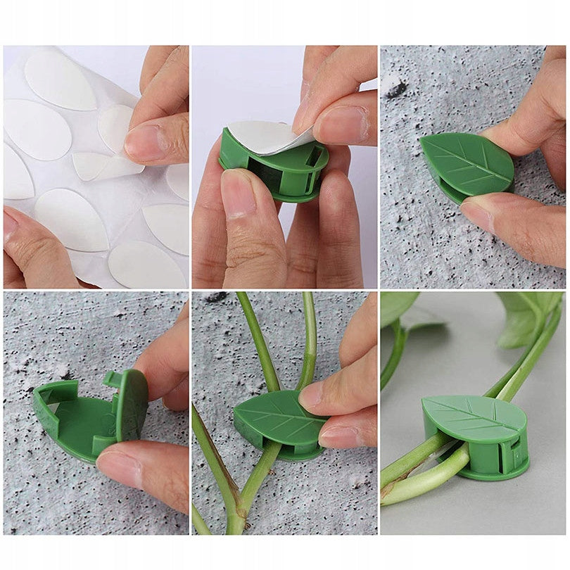 CLIPS FOR CLIMBING PLANTS BUCKLES CLASPS HOLDER MOUNTING BRACKETS 50PCS Number of pieces 50 pcs