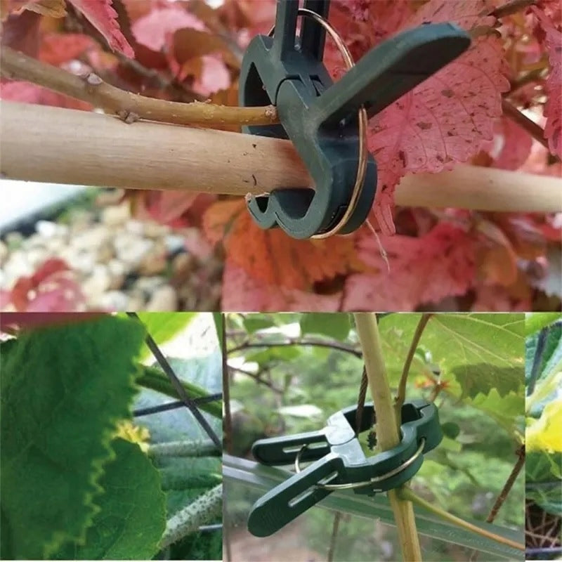 CLIPS FOR FIXING SHOOT STEM PLANTS GARDEN PAPER CLIPS 50PCS/KPL Product width 3.5 cm