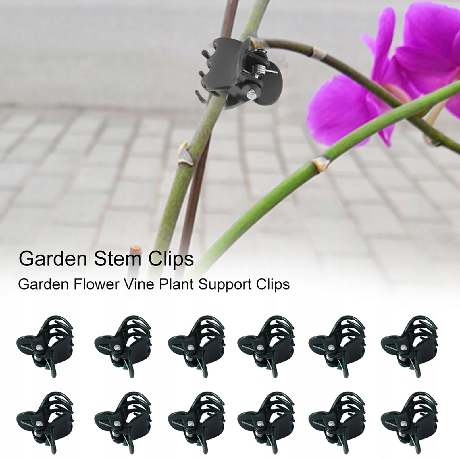 CLIPS FOR ORCHID PLANTS DARK GREEN 100 PCS Packaging status original