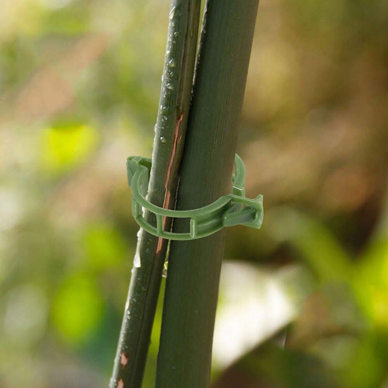 CLIPS FOR PLANTS STEMS CLASPS FOR BEAN TOMATOES PAPER CLIP HOLDER 2,5cm 50x Brand JohnGreen