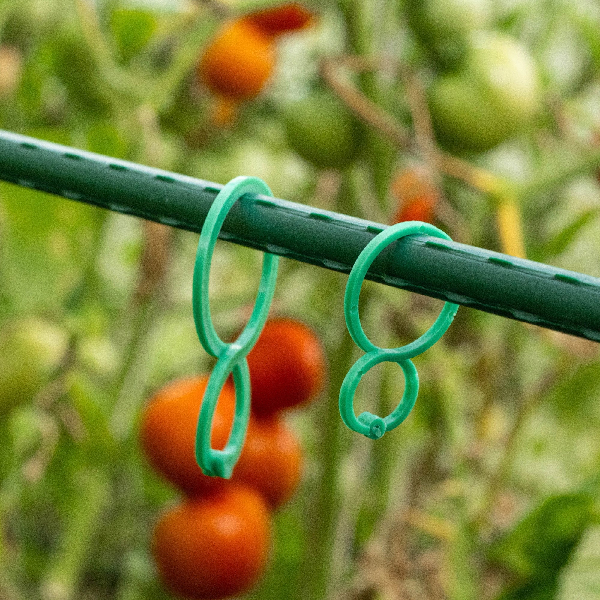 CLIPS FOR TOMATO PLANTS FOR STEM AND SHOTS FASTENING 3cm / 4cm 40pcs Brand Kadax