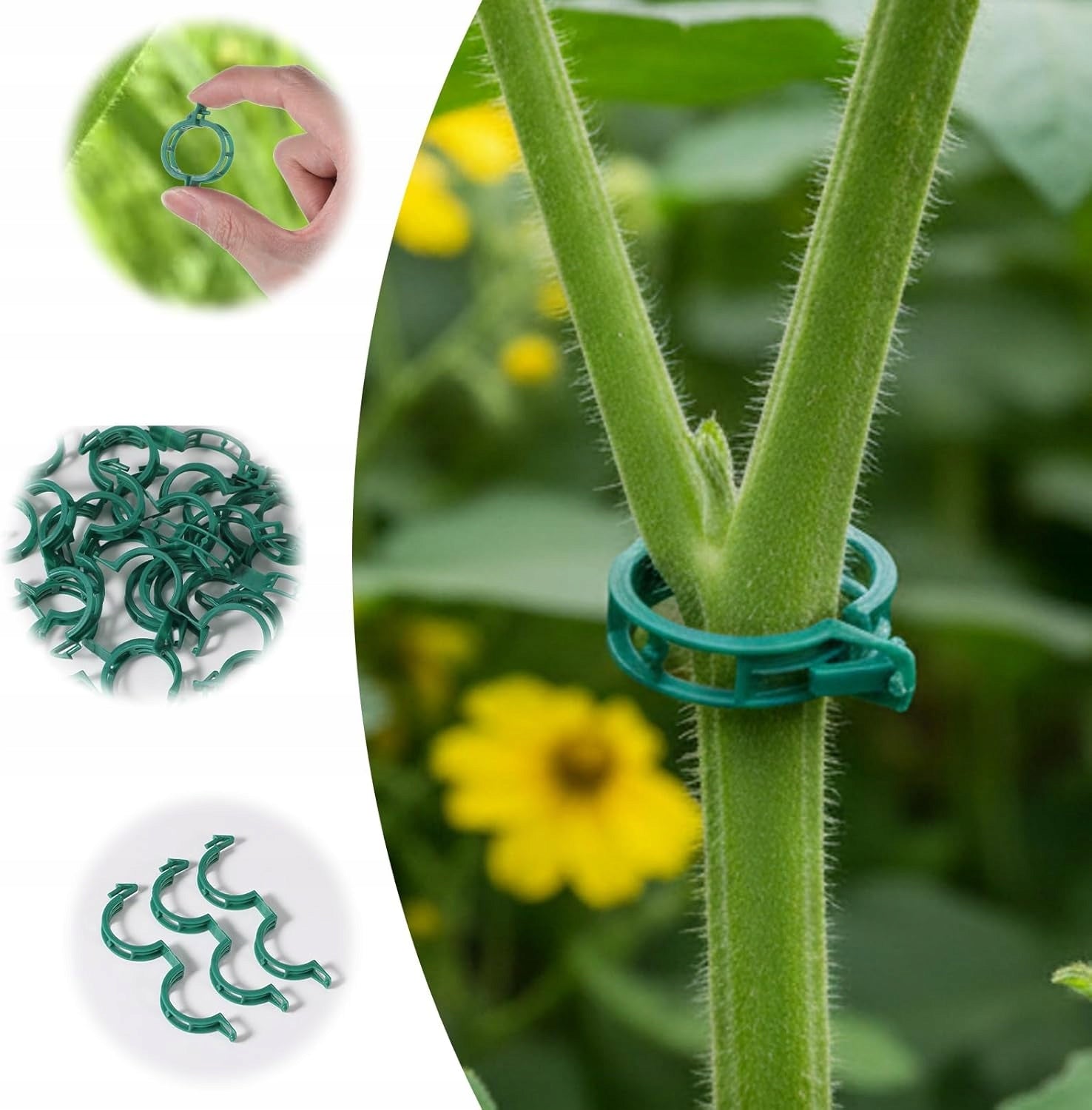 CLIPS FOR TOMATOES CLASPS HOLDER CLIP FOR PLANT SHOOT BEAN STEMS
