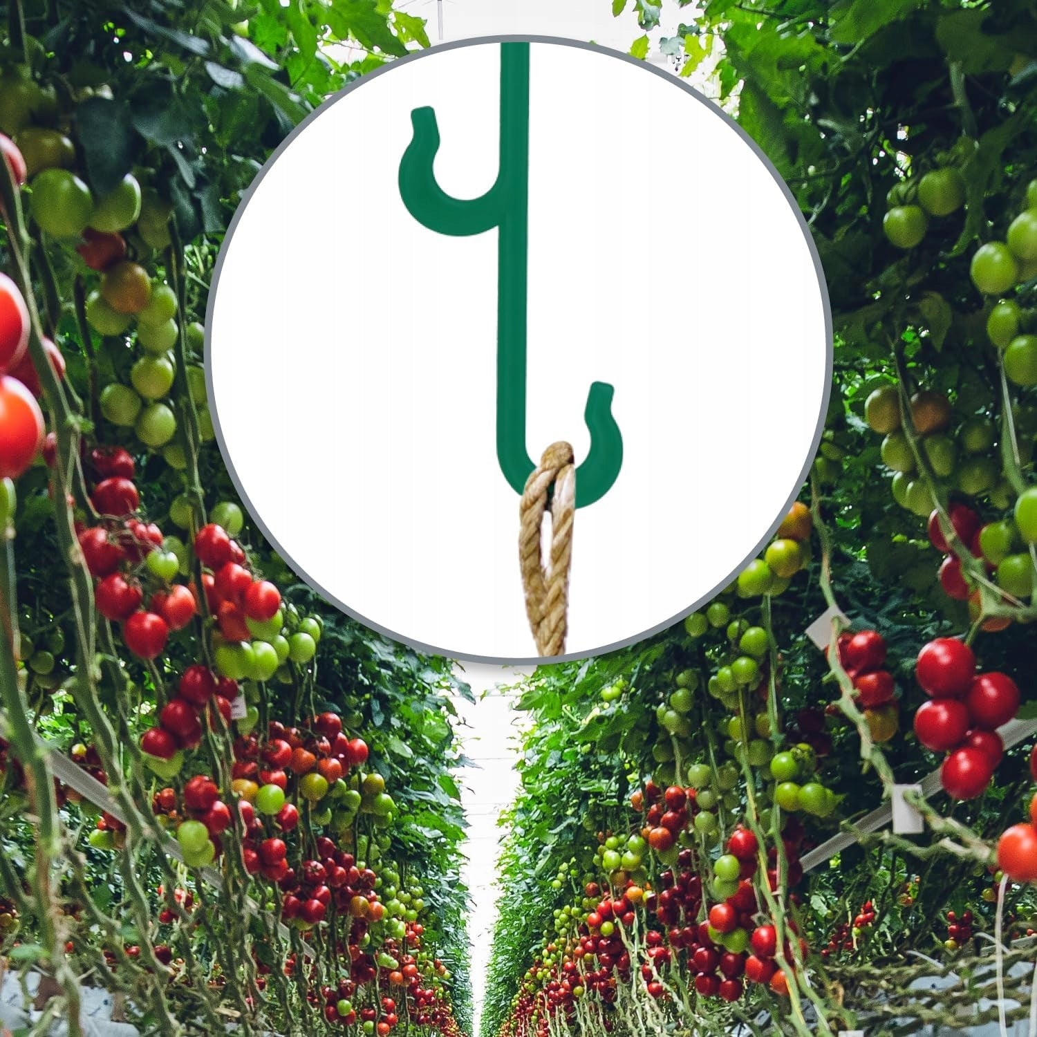 CLIPS FOR TOMATOES CLIPS FOR PLANTS STEMS CLIPS HOOKS FOR SHOOTS 120 PCS Product height 13 cm