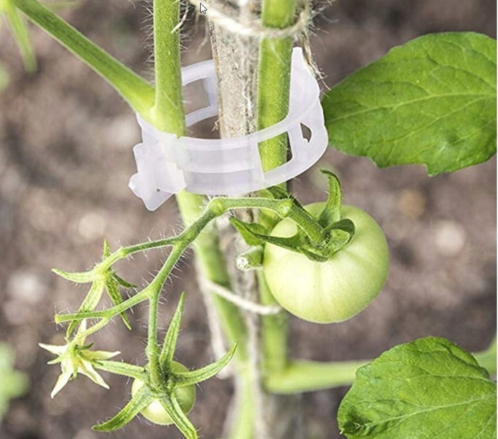 CLIPS FOR TOMATOES PLANTS STEMS SHOOTS 100 PIECES Brand no brand