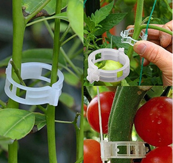 CLIPS FOR TOMATOES PLANTS STEMS SHOOTS 100 PIECES Packaging status original