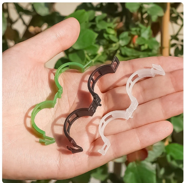 CLIPS HANDLE CLASP FOR STEMS TOMATO PLANT BRANCHES GREEN 100PCS Number of pieces 100 pcs