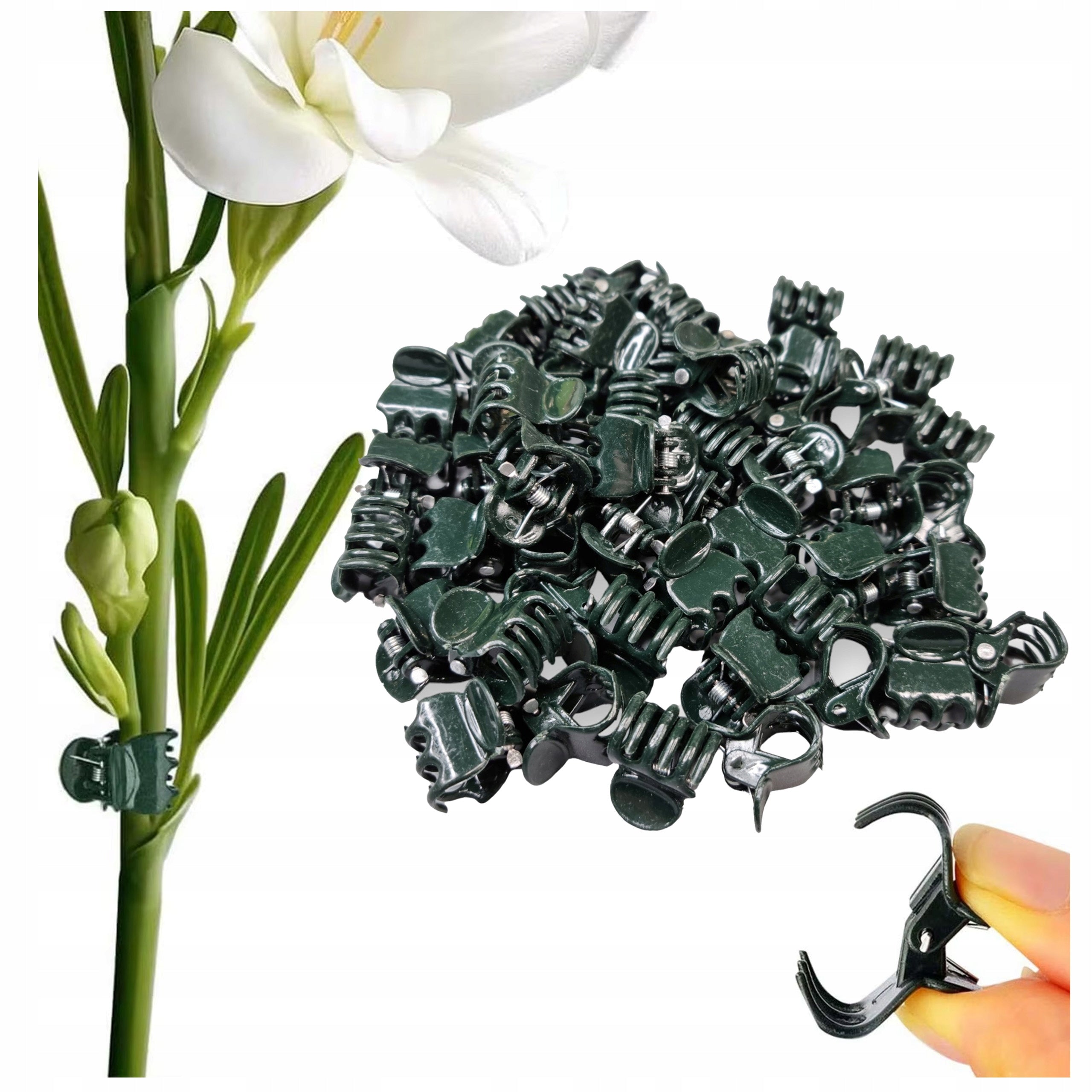 CLIPS PLANT CLIPS FOR PLANT ATTACHMENT 10PCS CLIP ORCHID CLIP