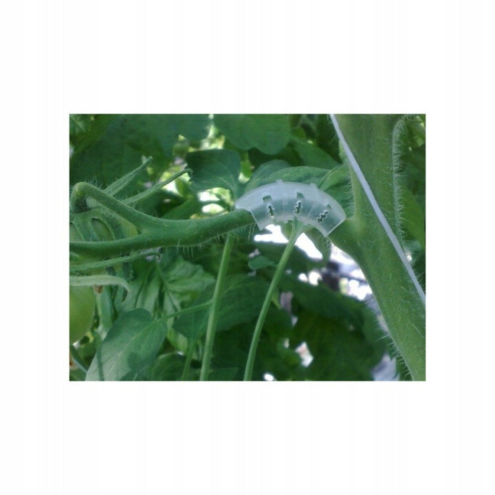 CLIPS SUPPORT FOR TOMATOES PLANTS 100 PCS STEMS SHOOT ARCHES SHOOTS Number of pieces 108 pcs