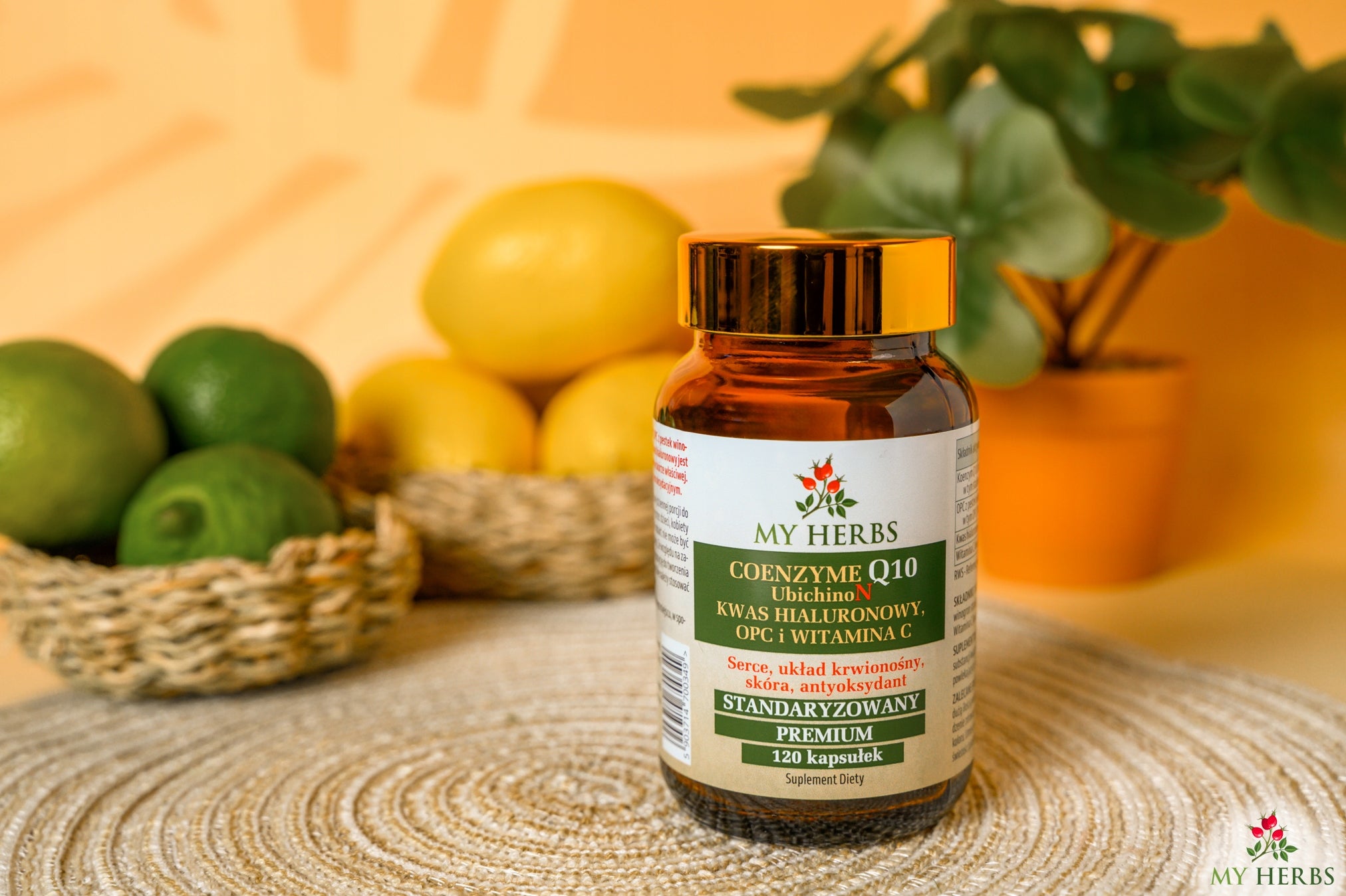 COENZYME Q10 PREMIUM + OPC + HYALURONIC ACID + VITAMIN C 120 capsules Packaging status original