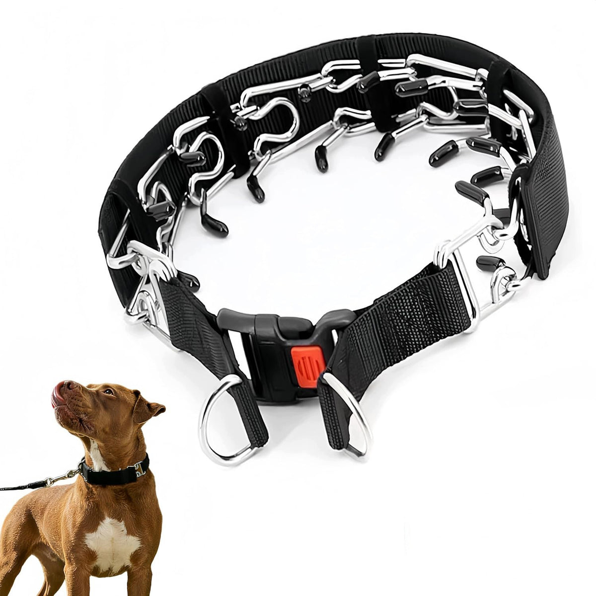 COLLAR BARBELL METAL STEEL STRONG FOR DOG SECURE FASTENED 35cm - S Manufacturer code KOL-zap-TK-S