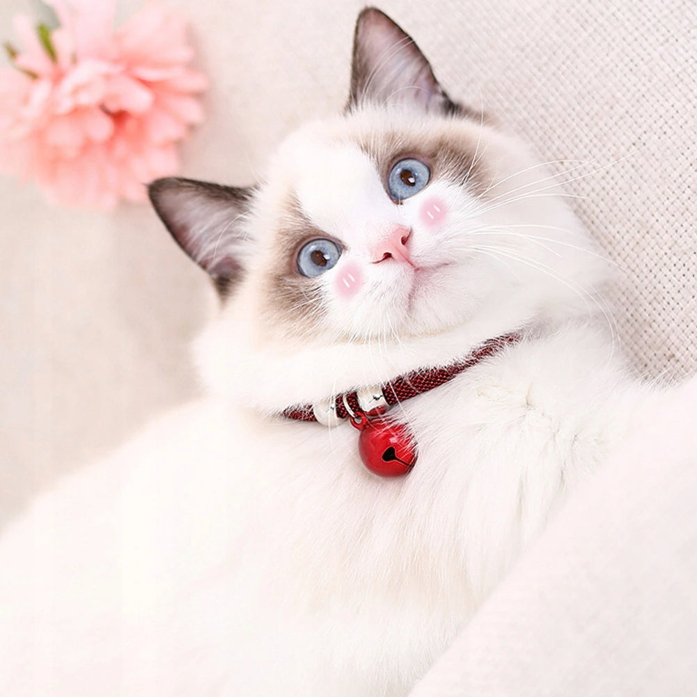 COLLAR CAT COLLAR REFLECTIVE 20-38CM Manufacturer code xiaojiayu725