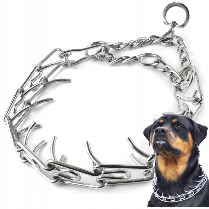COLLAR EARRING for dog METAL STRONG L 44-55 cm