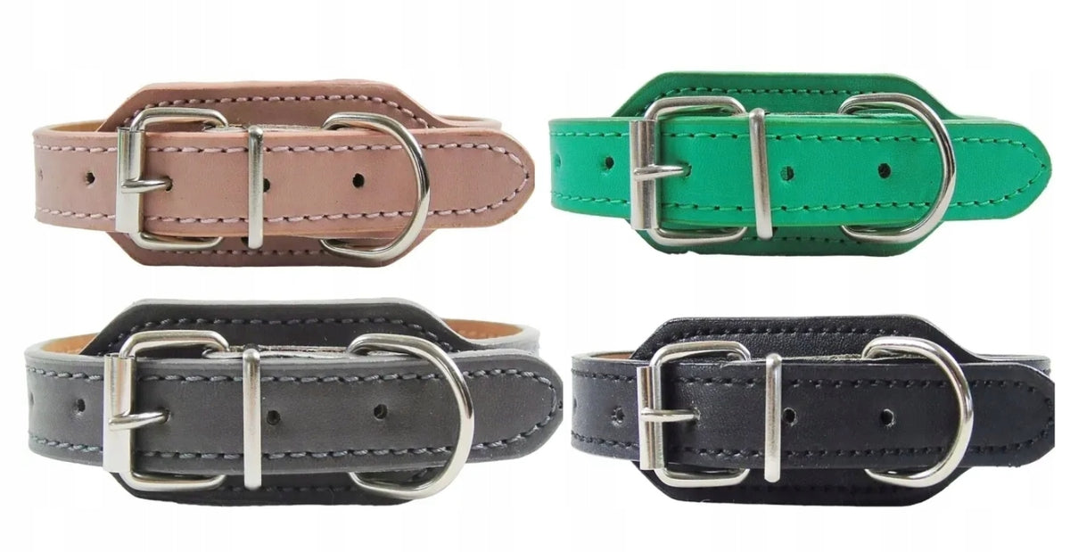 COLLAR Eco Leather for Dog Miniature Grey XXS