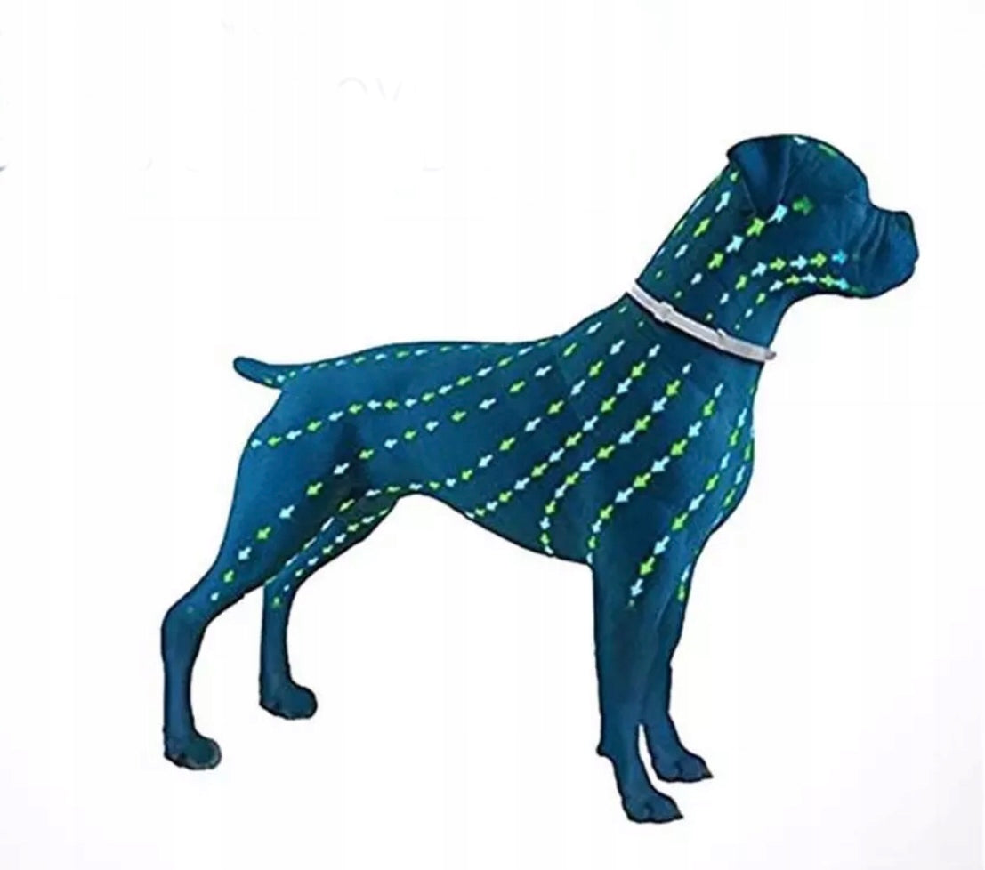 COLLAR FOR DOG against ticks FOR FLEA TICKS Color black