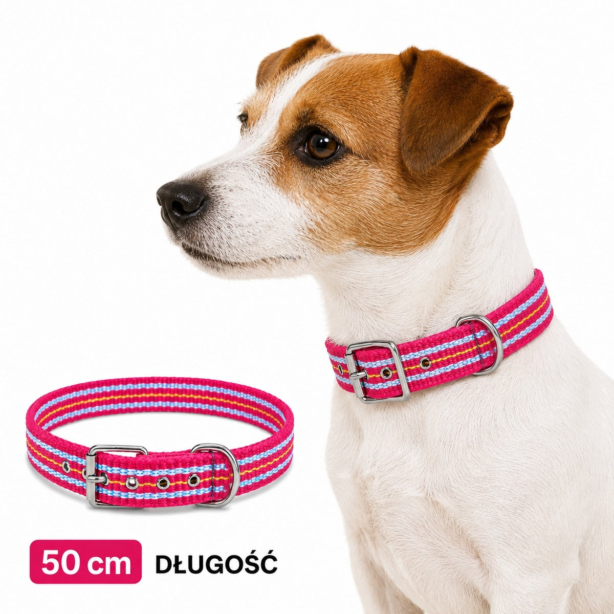 COLLAR FOR SMALL AND MEDIUM-SIZED DOGS 50CM