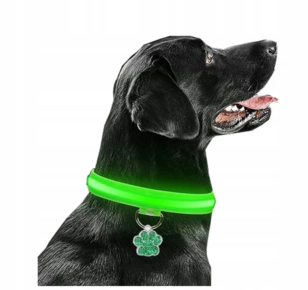 COLLAR GLOWING LED + ADDRESS CARD IDENTIFIER