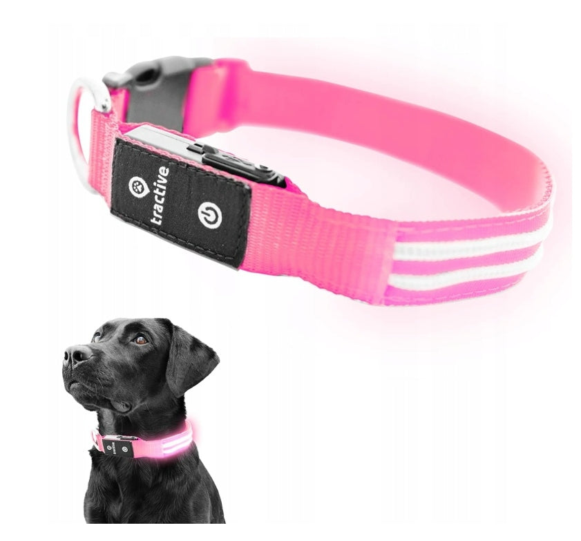COLLAR GLOWING LED ADJUSTABLE FOR DOG DOGS PINK M Manufacturer code 5904405013533