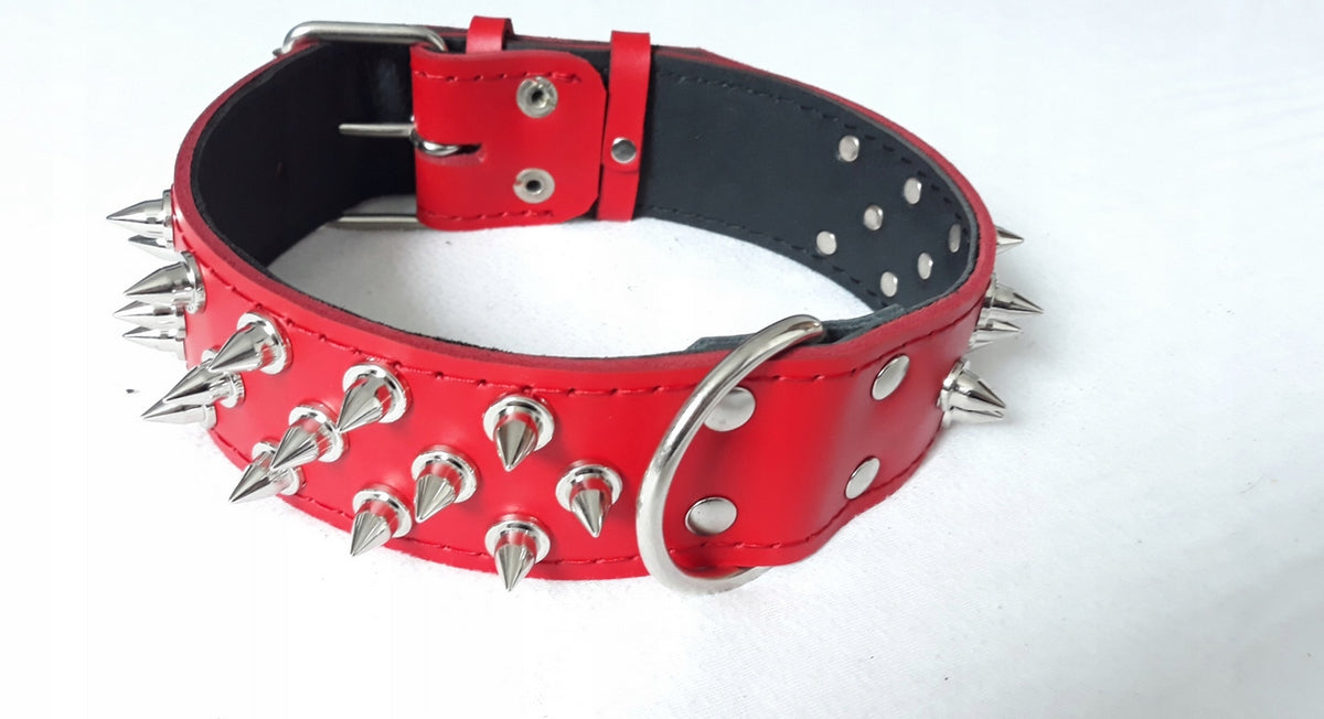 COLLAR LEATHER SPIKES LEATHER 3,5cm/60cm