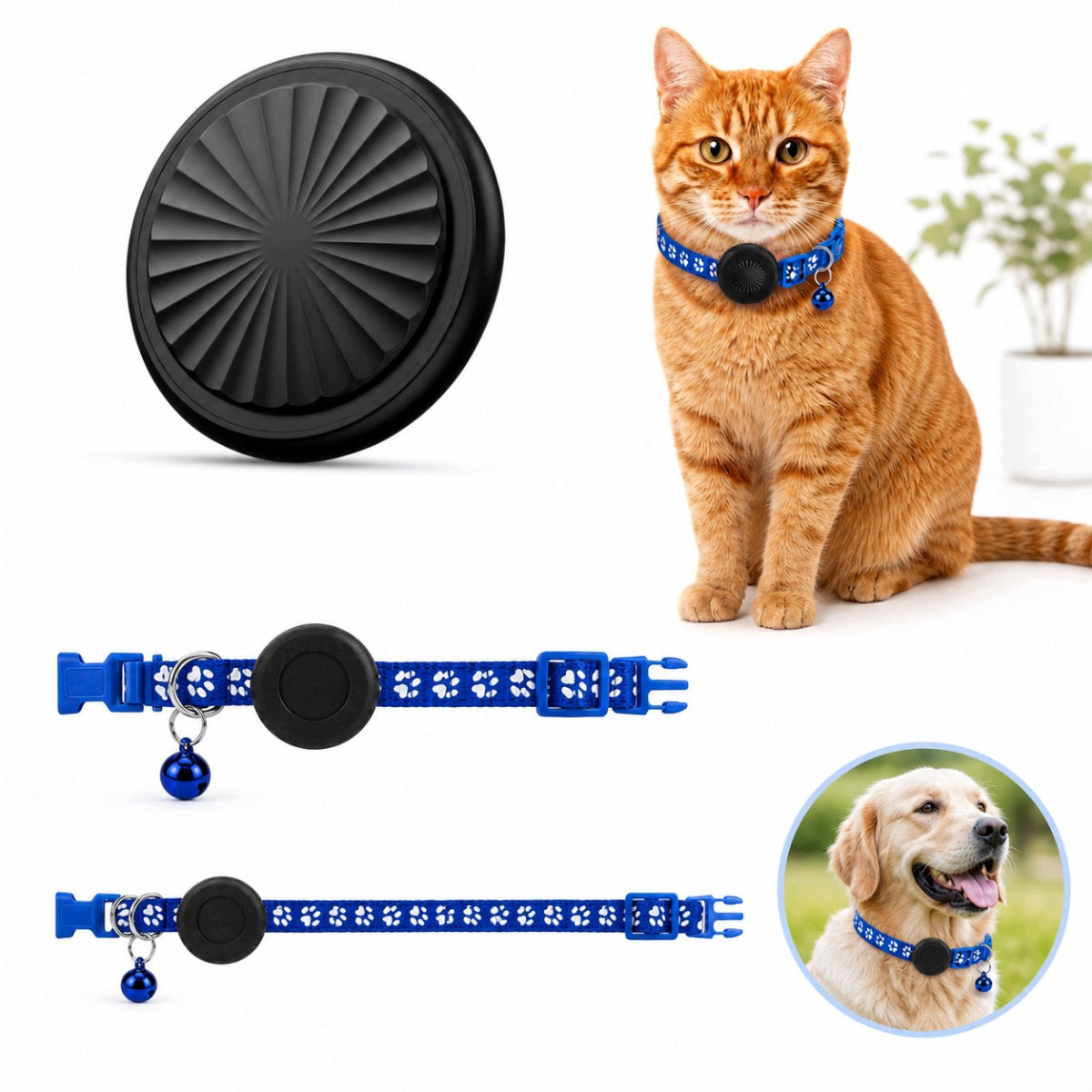 COLLAR LOCATOR GPS BLUETOOTH APP ANDROID IOS APPLE FIND MY FOR CAT DOG