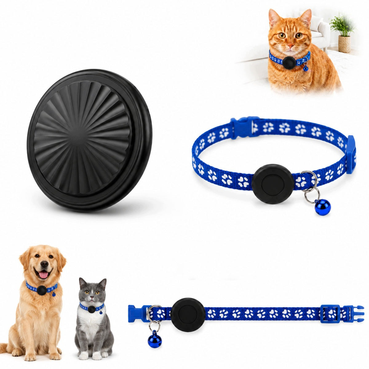 COLLAR LOCATOR GPS BLUETOOTH APP ANDROID IOS APPLE FIND MY FOR CAT DOG