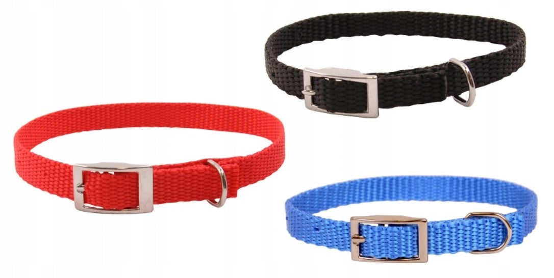 COLLAR MADE OF TAPE 10mm/32cm Dino material small 1cm 32cm
