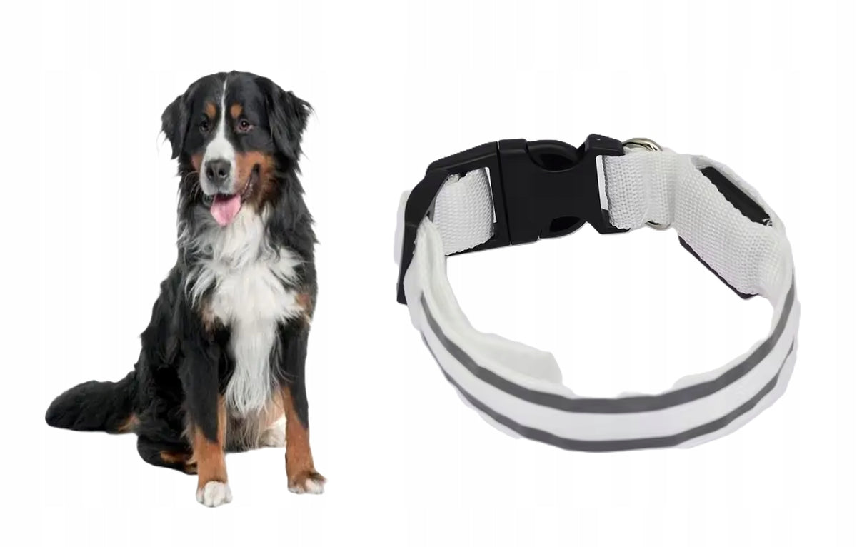 COLLAR SIZE S/M LED FOR DOG WHITE ADJUSTABLE SAFETY PROTECTION