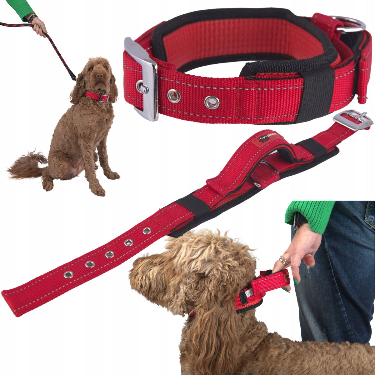 COLLAR WITH DOG HANDLE SHORT LEASH WIDE STRONG WITH ADJUSTABLE R.M Packaging status original