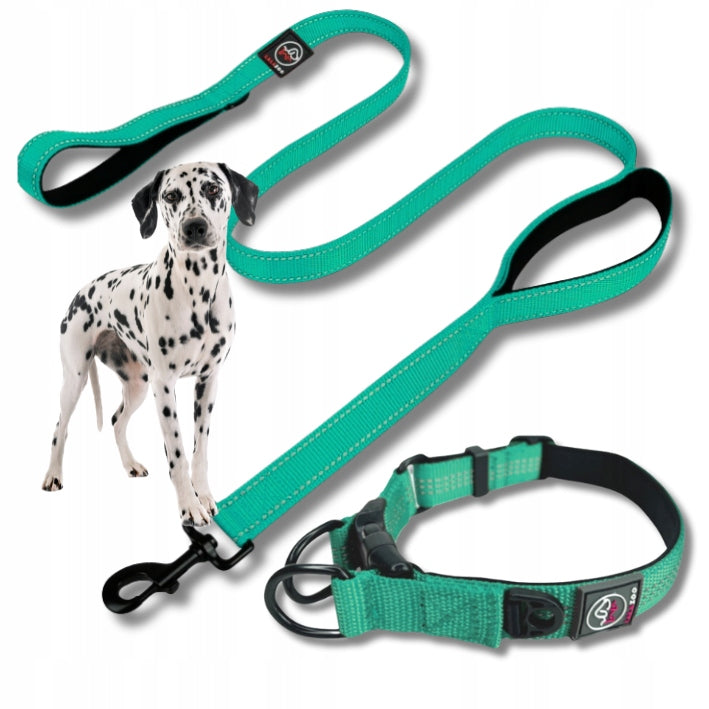 COLLAR and LEASH dog set RICO set for big dog M turus