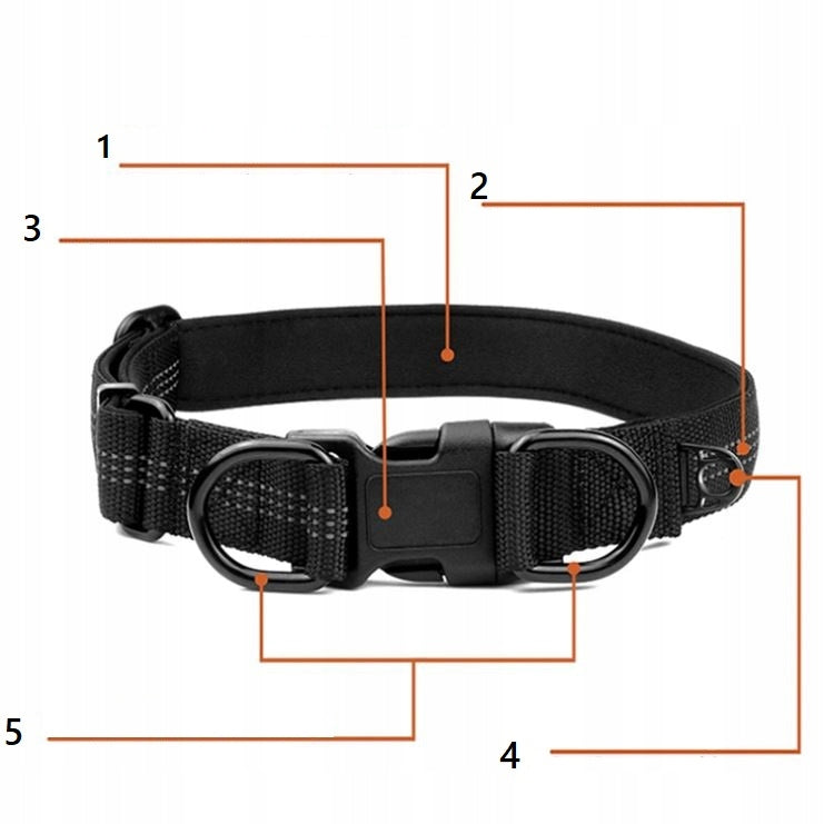 COLLAR and Strong LEASH for DOG Reflective 150 cm Manufacturer code OBROŻA ORAZ SMYCZ ZIELONA 150 cm