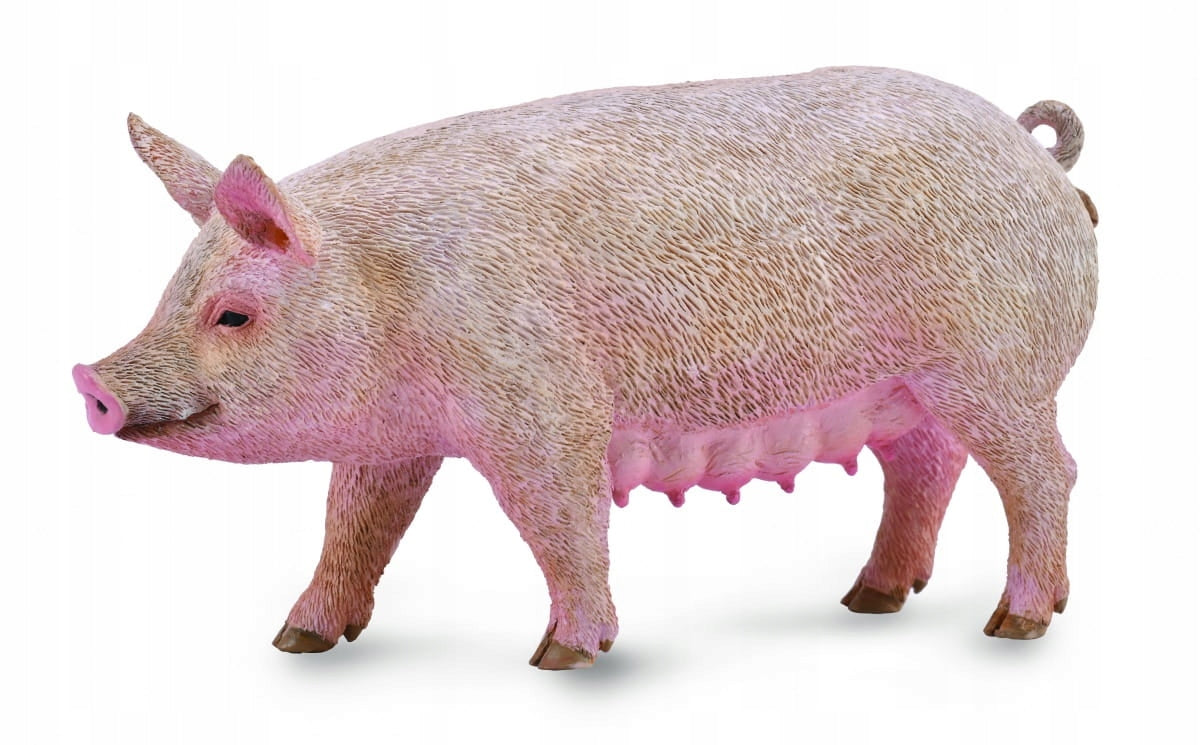 Figur Schwein Collecta (M), 88863 