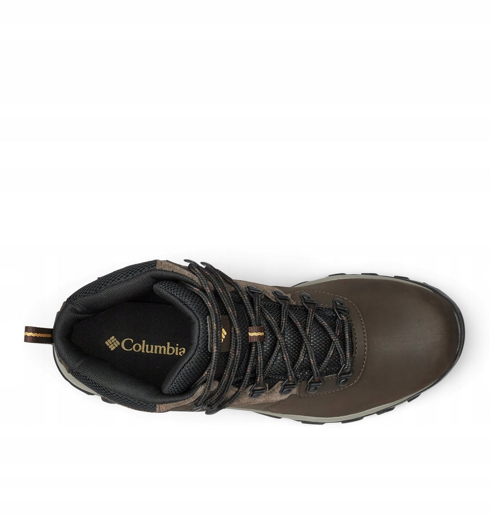 Žygio batai vyrams Columbia Newton Ridge Plus II M 1594731231, rudi