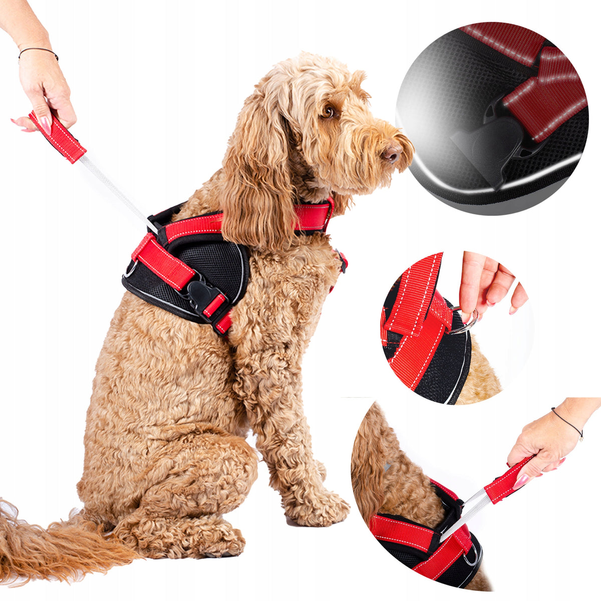 COMFORTABLE DOG HARNESS WITH glare COMFORTABLE ANTI-PRESSURE size M Regul Brand Patento Pet