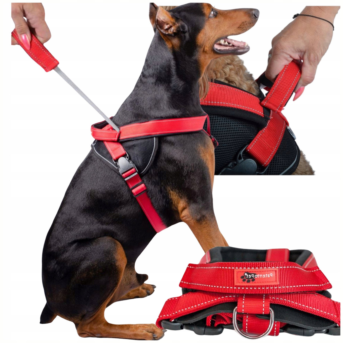 COMFORTABLE DOG HARNESS WITH glare COMFORTABLE ANTI-PRESSURE size M Regul
