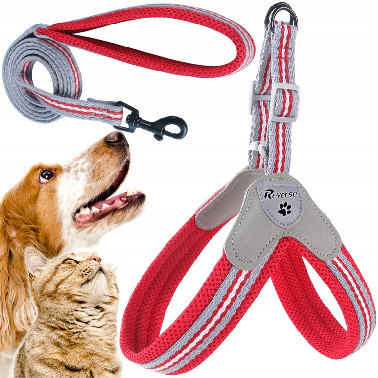 COMFORTABLE PRESSURE-FREE HARNESS COMFORTABLE FOR CAT DOG KITTEN + LEASH 1,2m ros. S