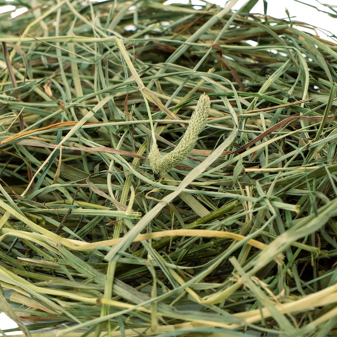 COMFY HAY WITH THYME 350G Brand Comfy