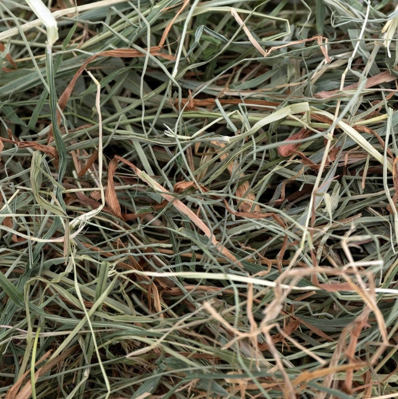 COMFY Hay for rodents 30l Brand Comfy