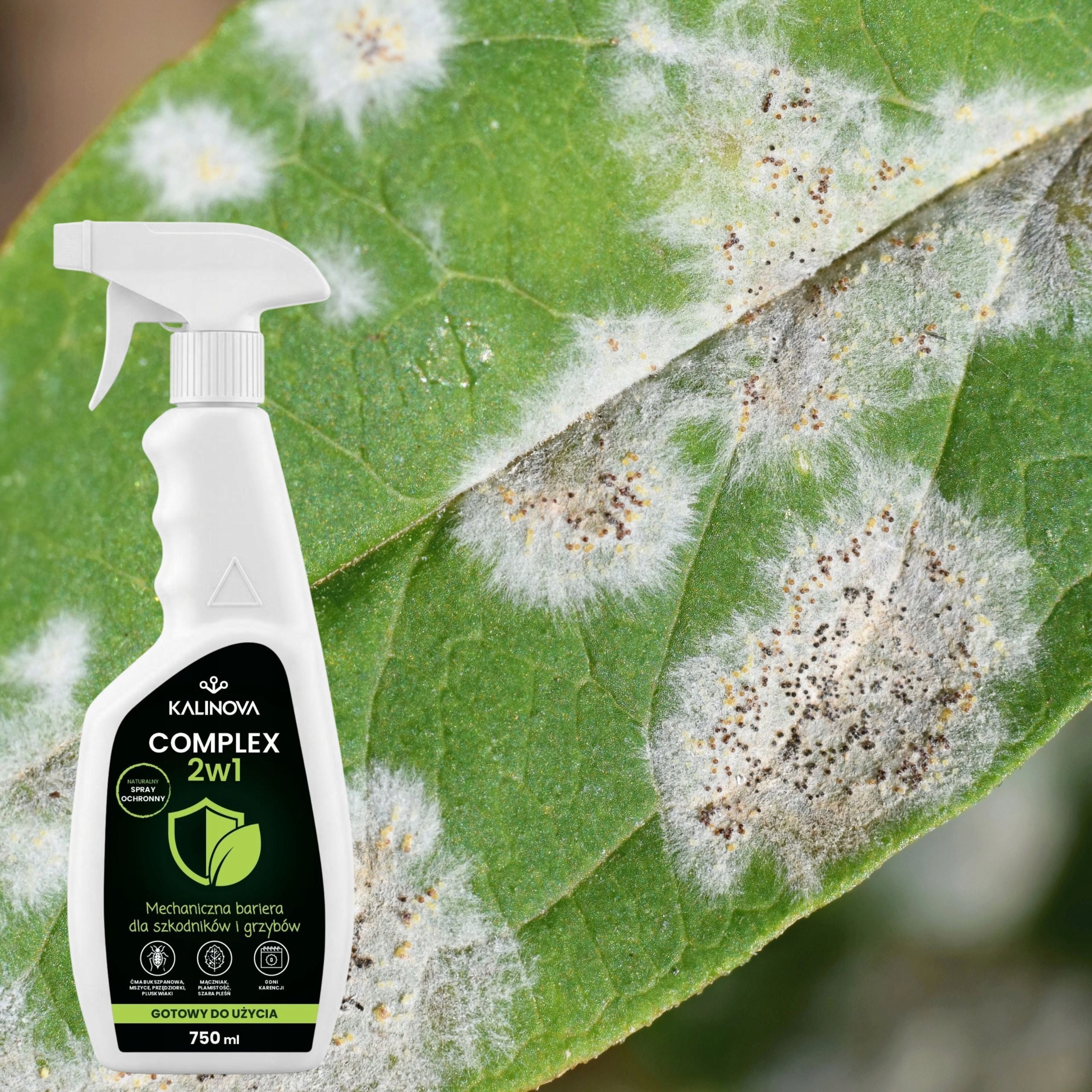 COMPLEX 2in1 Insecticide Spray Fungicidal Pests Aphid Diseases Form liquid