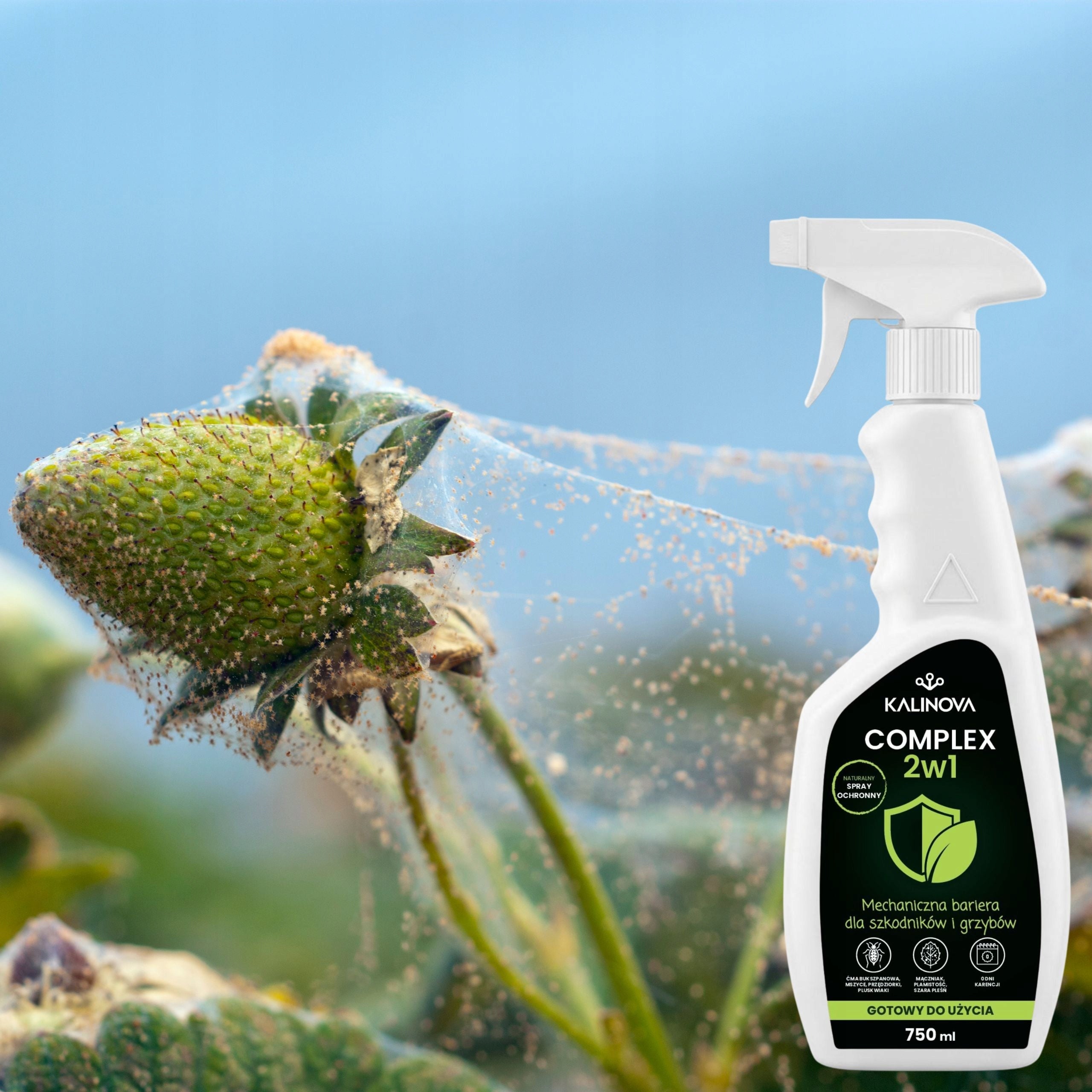 COMPLEX 2in1 Insecticide Spray Fungicidal Pests Aphid Diseases Volume 0.75 l