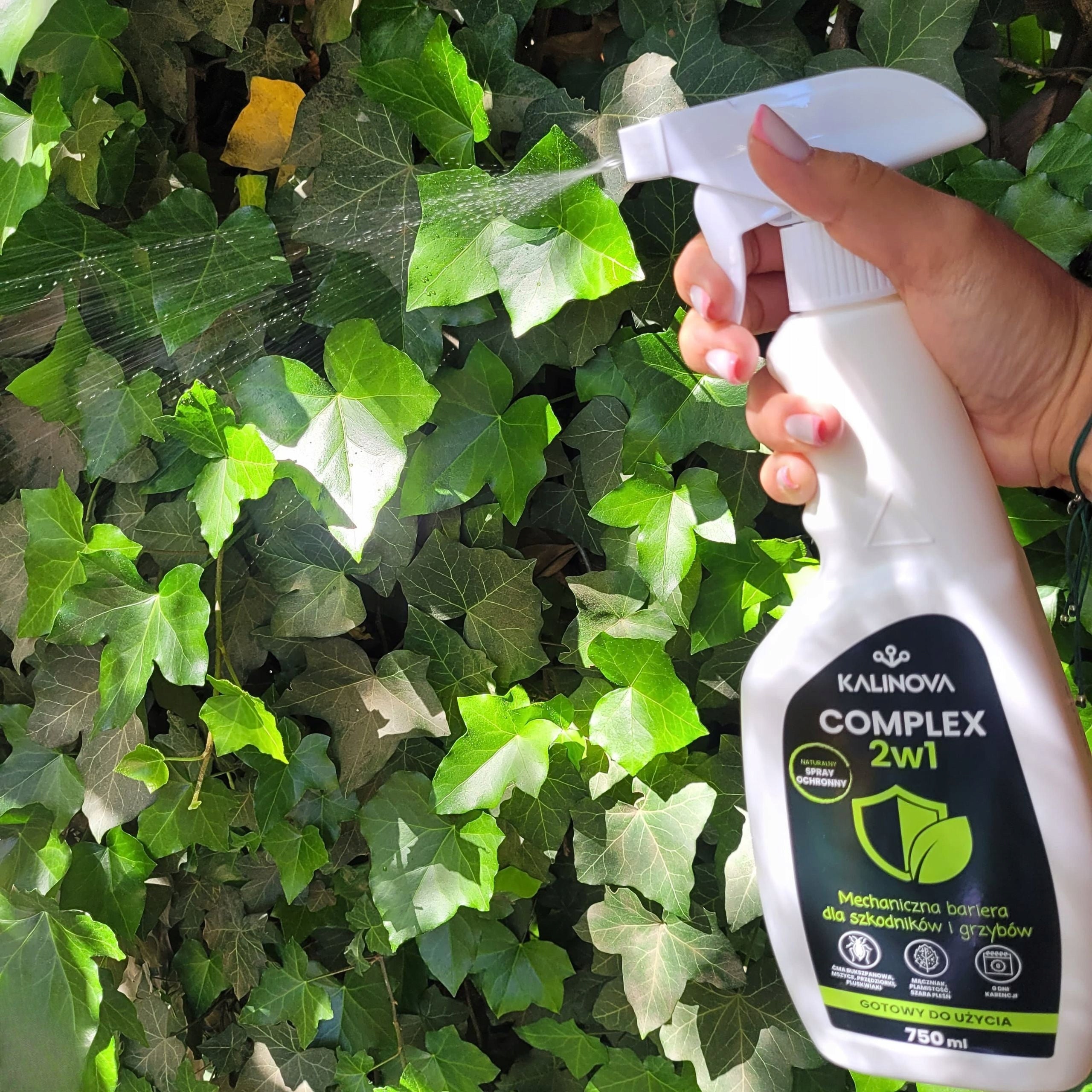 COMPLEX 2in1 Insecticide Spray Fungicidal Pests Aphid Diseases Weight 1 kg