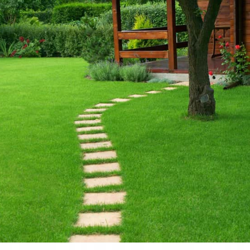 COMPO EXPERT LAWN GRASS FERTILIZER NITROGEN NOVATEC N-MAX 25 KG Manufacturer Compo Expert