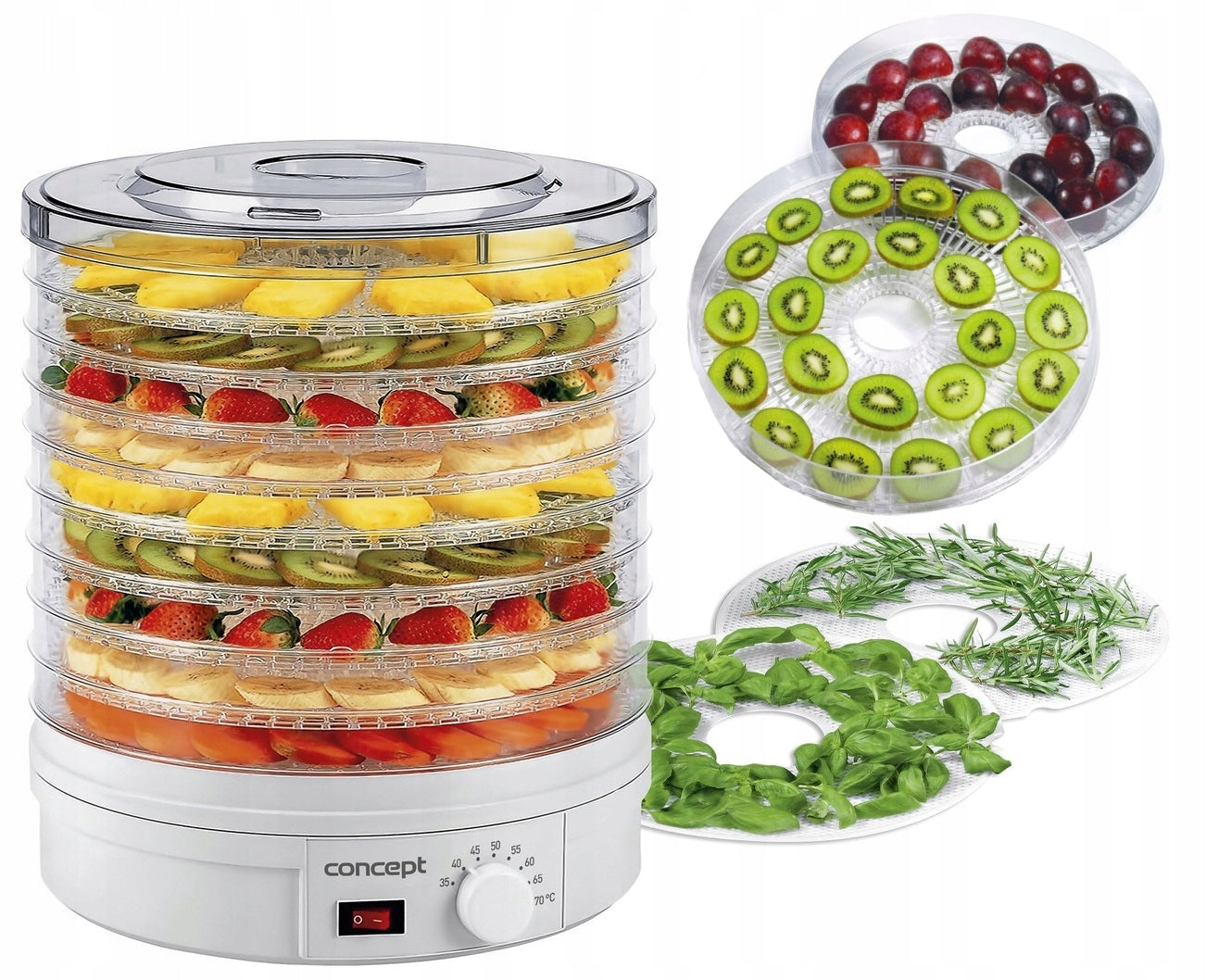 CONCEPT DRYER FOR HERB FRUIT MUSHROOMS 9 SIT SO1020 245W EAN (GTIN) 8594049738083