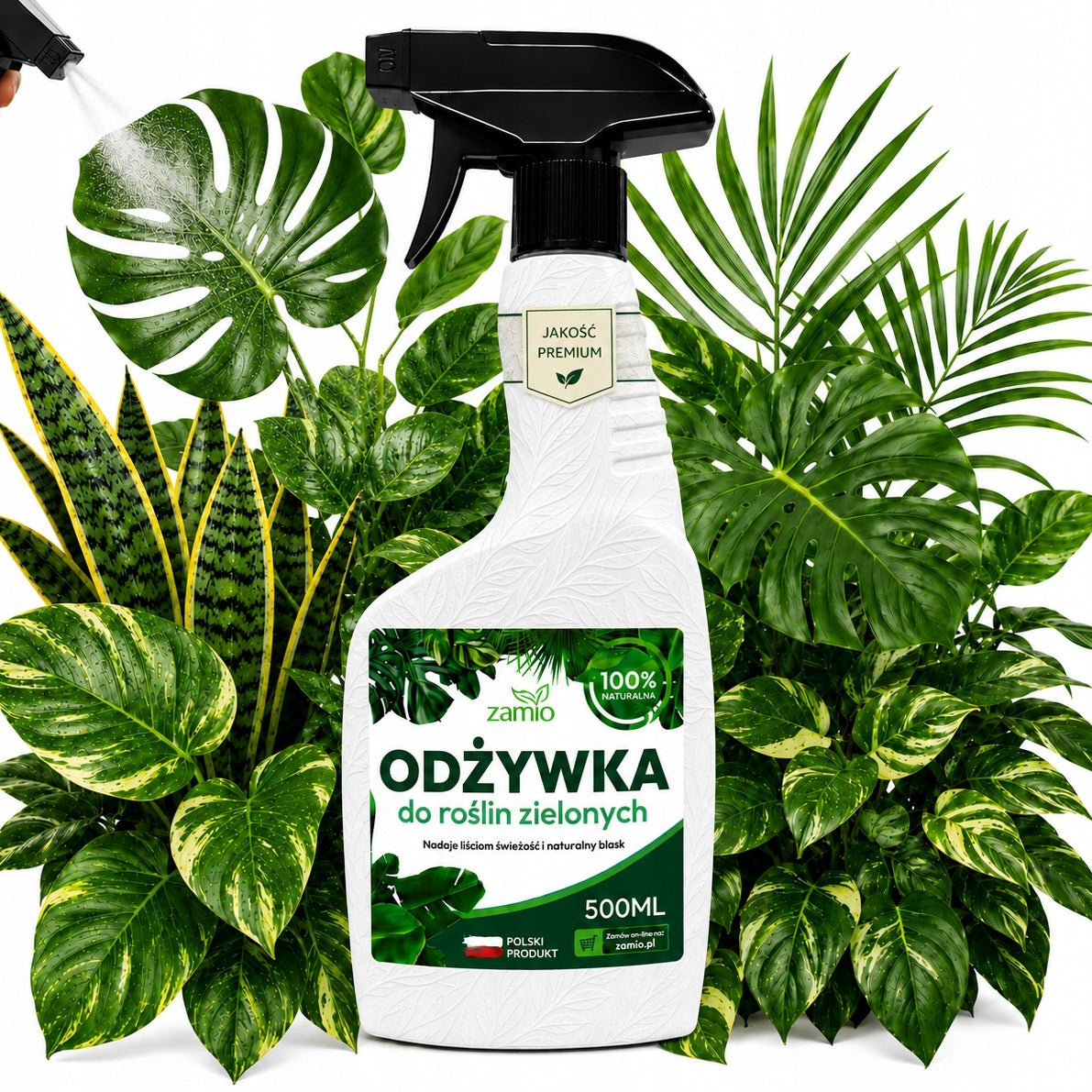 CONDITIONER FERTILIZER MIST FOR LEAVES OF GREEN PLANTS MONSTERY PALM FICUS FERN