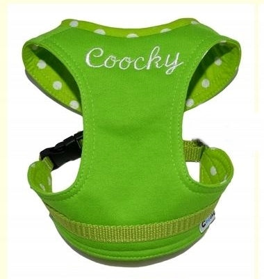 COOCKY EMBROIDERY OF NAME / WORDS ADDITIONAL OPTION Brand Coocky