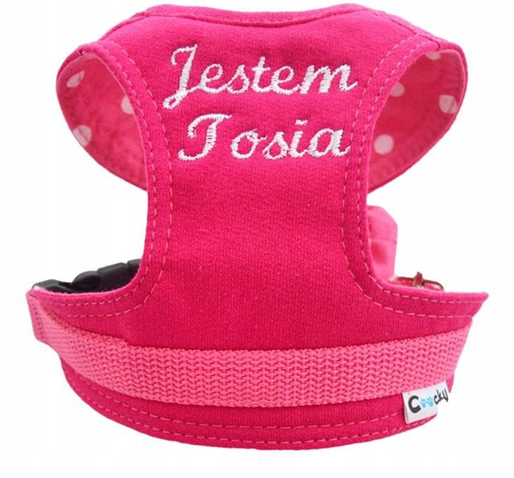 COOCKY EMBROIDERY OF NAME / WORDS ADDITIONAL OPTION Size other