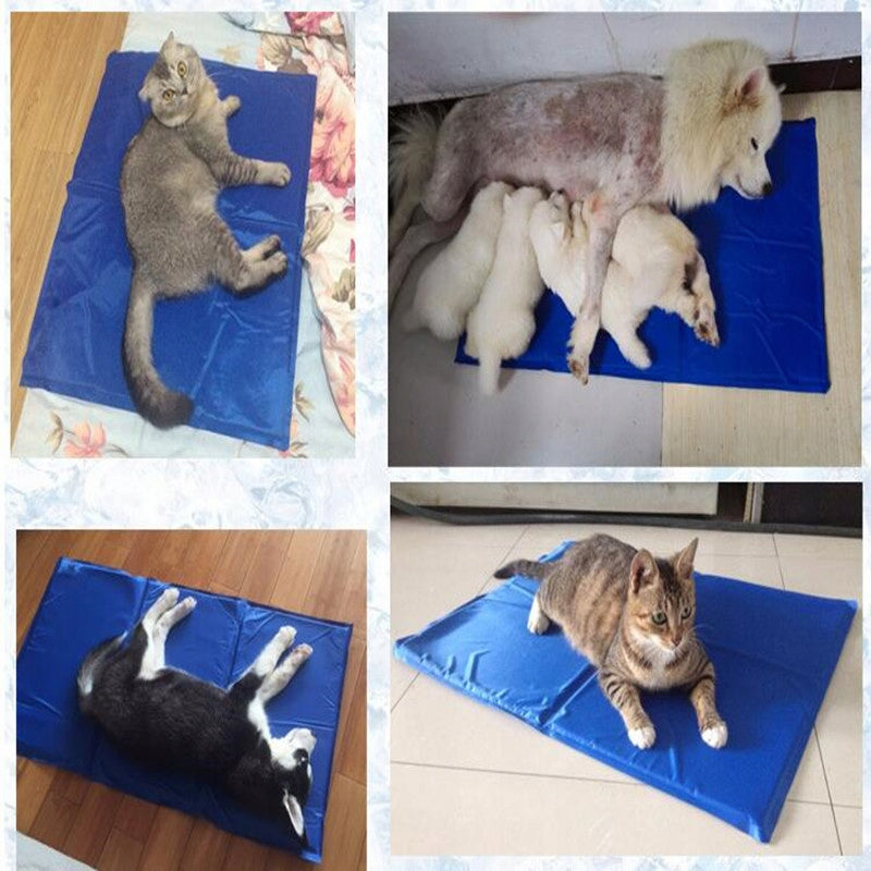 COOLING MAT FOR CAT DOG 50x40cm XXL BED Manufacturer code mata chłodząca