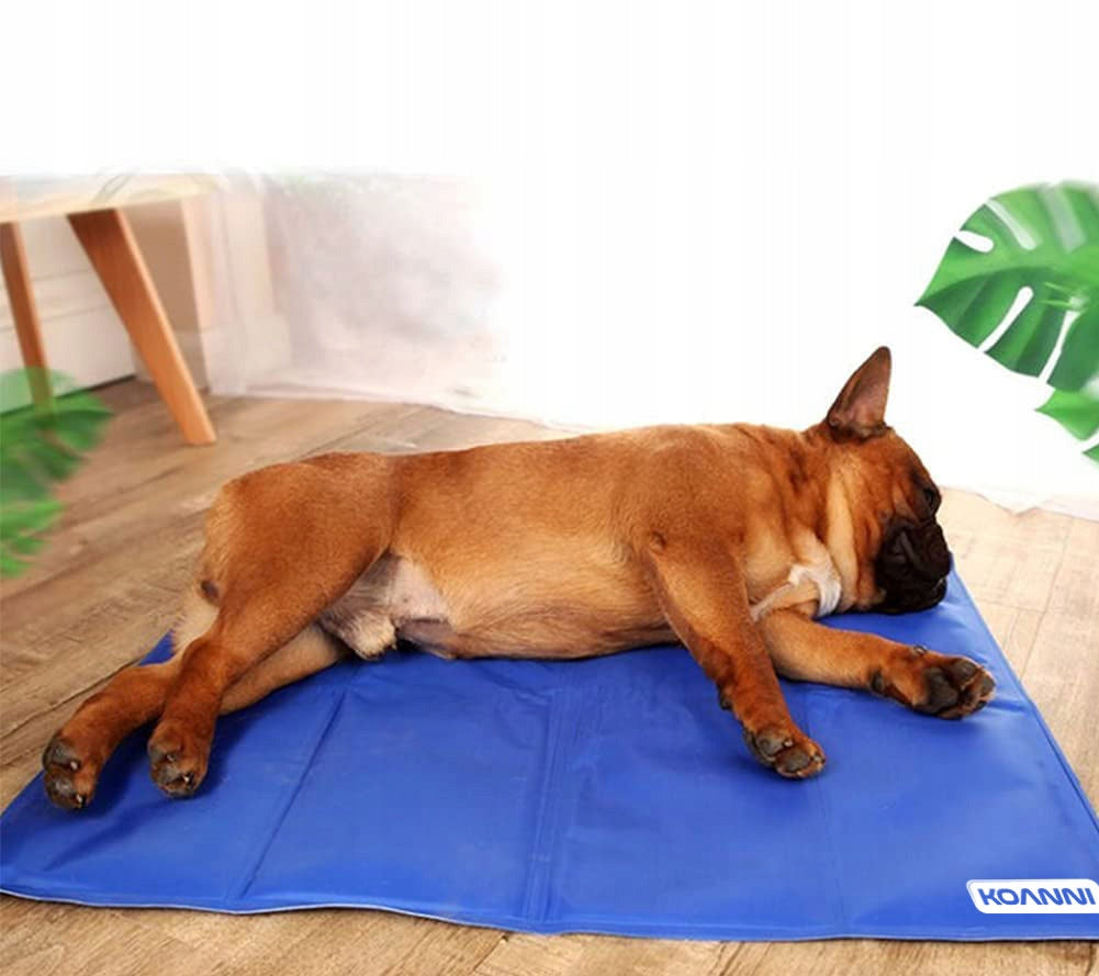 COOLING MAT FOR CAT DOG BED KOANNI 50x40 Manufacturer code mata--psa_ mala