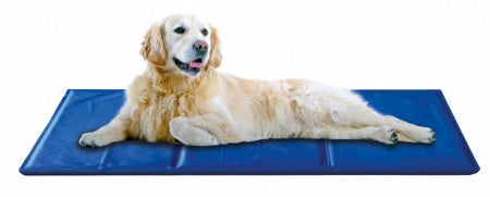 COOLING MAT FOR DOG AND CAT ON HOT DAYS 90x50 GEL WOODPORNE Model TX-28686