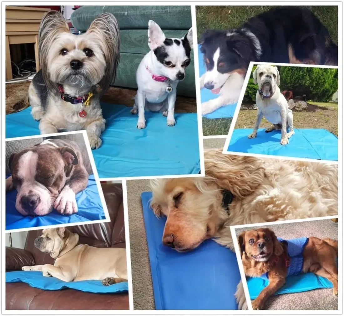 COOLING MAT FOR DOG CAT ANIMALS BED FOR SUMMER GEL GREY 90x50CM Color blue
