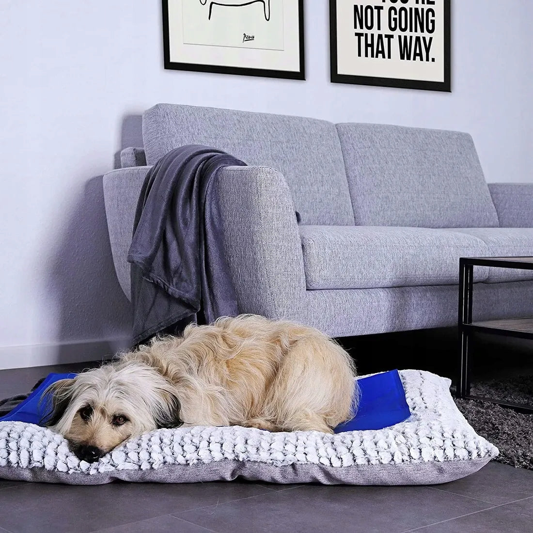 COOLING MAT FOR DOG CAT ANIMALS BED FOR SUMMER GEL GREY 90x50CM Length 90 cm