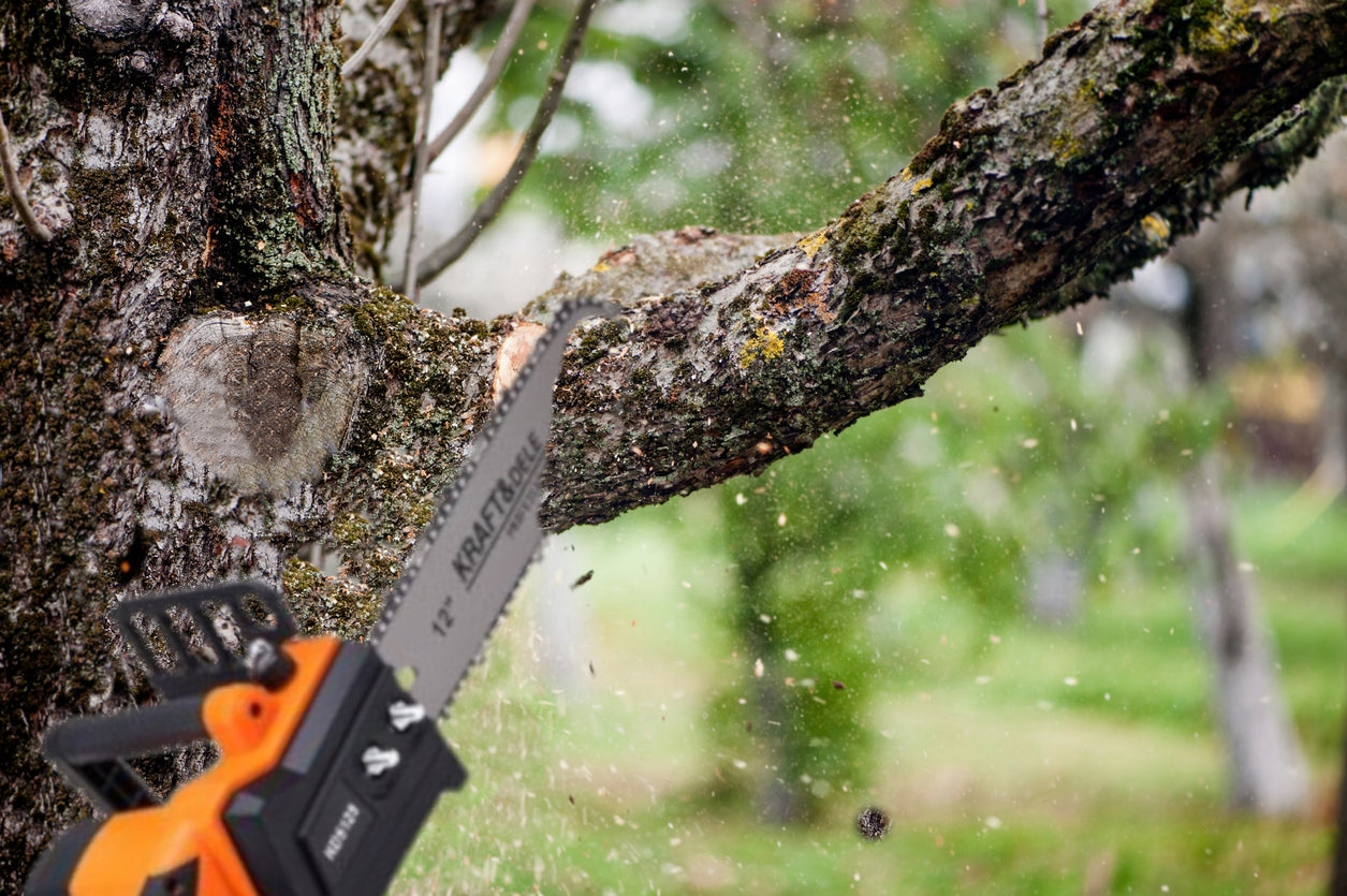 CORDLESS CHAINSAW FOR WOOD SAW 12 BRANCHES 35CM KRAFT Packaging status original